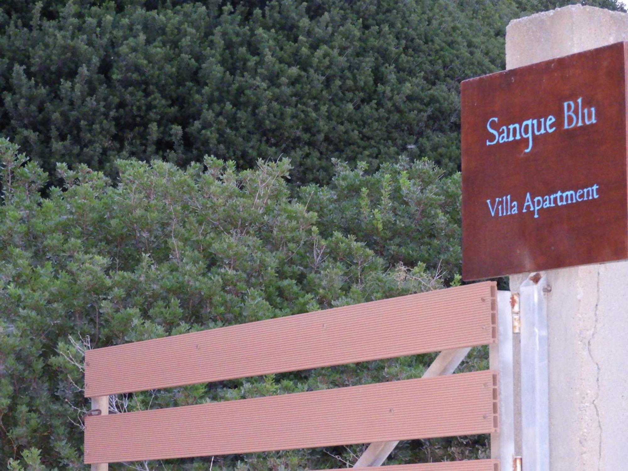Sangue Blu Beachfront Villa Apartment Άγιος Νικόλαος Εξωτερικό φωτογραφία